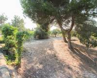 Venta - Terreno rural - Elche pedanias - LA MARINA