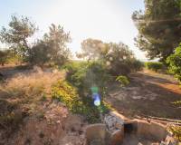 Venta - Terreno rural - Elche pedanias - LA MARINA