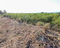 Venta - Terreno rural - Elche pedanias - LA MARINA
