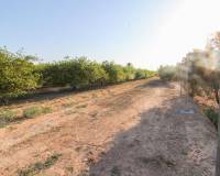Venta - Terreno rural - Elche pedanias - LA MARINA