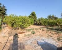 Venta - Terreno rural - Elche pedanias - LA MARINA