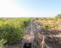 Venta - Terreno rural - Elche pedanias - LA MARINA