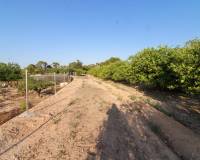 Venta - Terreno rural - Elche pedanias - LA MARINA