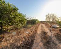 Venta - Terreno rural - Elche pedanias - LA MARINA