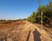 Venta - Terreno rural - Elche pedanias - LA MARINA