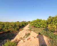Venta - Terreno rural - Elche pedanias - LA MARINA