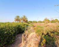 Venta - Terreno rural - Elche pedanias - LA MARINA