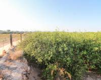 Venta - Terreno rural - Elche pedanias - LA MARINA