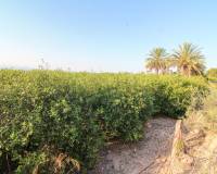 Venta - Terreno rural - Elche pedanias - LA MARINA