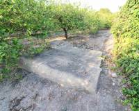 Venta - Terreno rural - Elche pedanias - LA MARINA