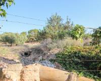 Venta - Terreno rural - Elche pedanias - LA MARINA
