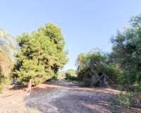 Venta - Terreno rural - Elche pedanias - LA MARINA