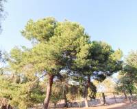 Venta - Terreno rural - Elche pedanias - LA MARINA