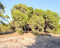 Venta - Terreno rural - Elche pedanias - LA MARINA