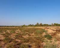 Venta - Terreno rural - Elche pedanias - LA MARINA