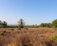 Venta - Terreno rural - Elche pedanias - LA MARINA