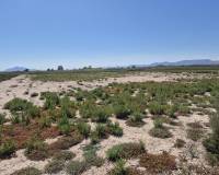 Venta - Terreno rural - La hoya - La Hoya-Daimes-El Derramador