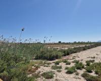 Venta - Terreno rural - La hoya - La Hoya-Daimes-El Derramador
