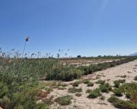Venta - Terreno rural - La hoya - La Hoya-Daimes-El Derramador