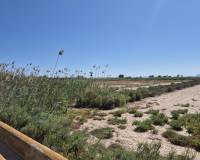 Venta - Terreno rural - La hoya - La Hoya-Daimes-El Derramador