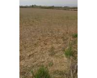 Venta - Terreno rural - La hoya - La Hoya-Daimes-El Derramador