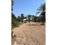 Venta - Terreno rural - Matola - Algoda-Matola-Llano de San José