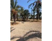 Venta - Terreno rural - Matola - Algoda-Matola-Llano de San José