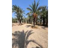 Venta - Terreno rural - Matola - Algoda-Matola-Llano de San José