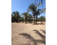 Venta - Terreno rural - Matola - Algoda-Matola-Llano de San José