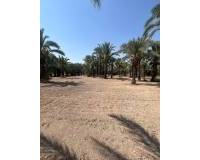 Venta - Terreno rural - Matola - Algoda-Matola-Llano de San José