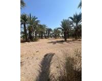 Venta - Terreno rural - Matola - Algoda-Matola-Llano de San José