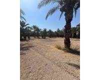 Venta - Terreno rural - Matola - Algoda-Matola-Llano de San José