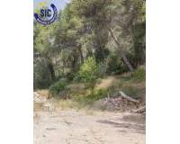Venta - Terreno urbanizable - Godelleta - Calicanto