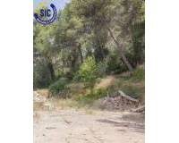 Venta - Terreno urbanizable - Godelleta - Calicanto