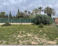 Venta - Terreno urbano - Elche pedanias - Matola