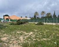Venta - Terreno urbano - Elche pedanias - Matola