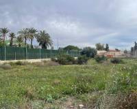 Venta - Terreno urbano - Elche pedanias - Matola