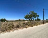 Venta - Terreno urbano - Monforte del Cid - Comunidad valenciana