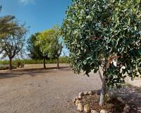 Venta - Villa - Albatera - Partida del Moco