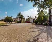 Venta - Villa - Albatera - Partida del Moco