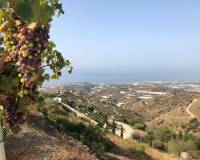 Venta - Villa de Lujo - Sayalonga - Costa del Sol East